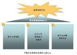 平衡計(jì)分卡與戰(zhàn)略管理 提升中國(guó)企業(yè)集團(tuán)戰(zhàn)略執(zhí)行力的實(shí)踐探索