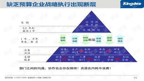 企業(yè)預(yù)算系統(tǒng)優(yōu)化 策略、實(shí)施與咨詢(xún)服務(wù)指南