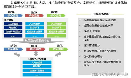 集團(tuán)公司人力資源共享服務(wù)中心建設(shè)方案與咨詢(xún)服務(wù)框架